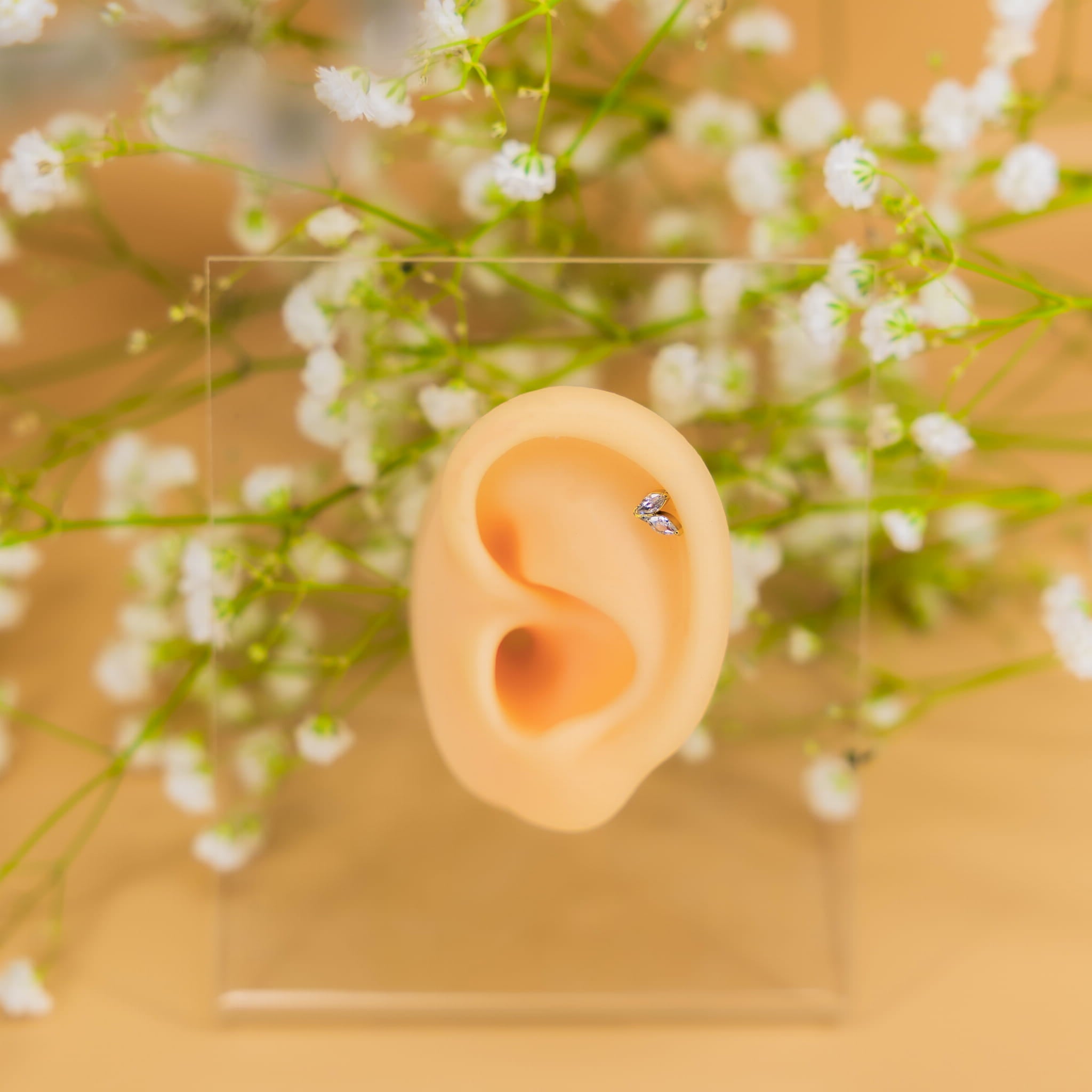 Labret aus Titan mit zwei Zirkonen