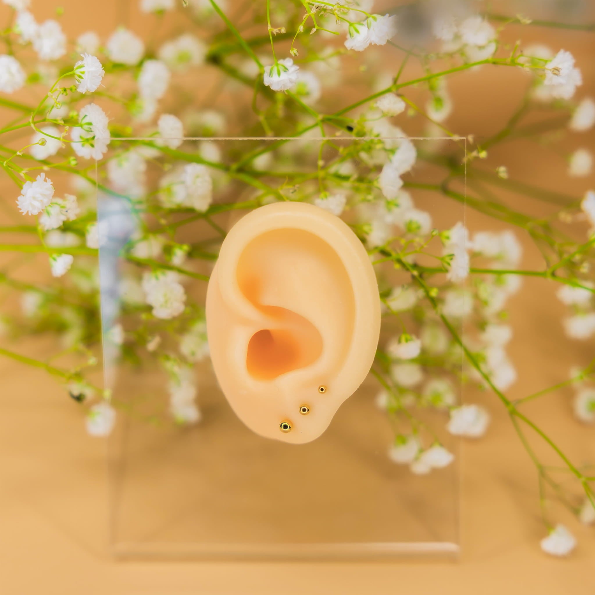 Labret mit Kugel - 316L Chirurgenstahl.