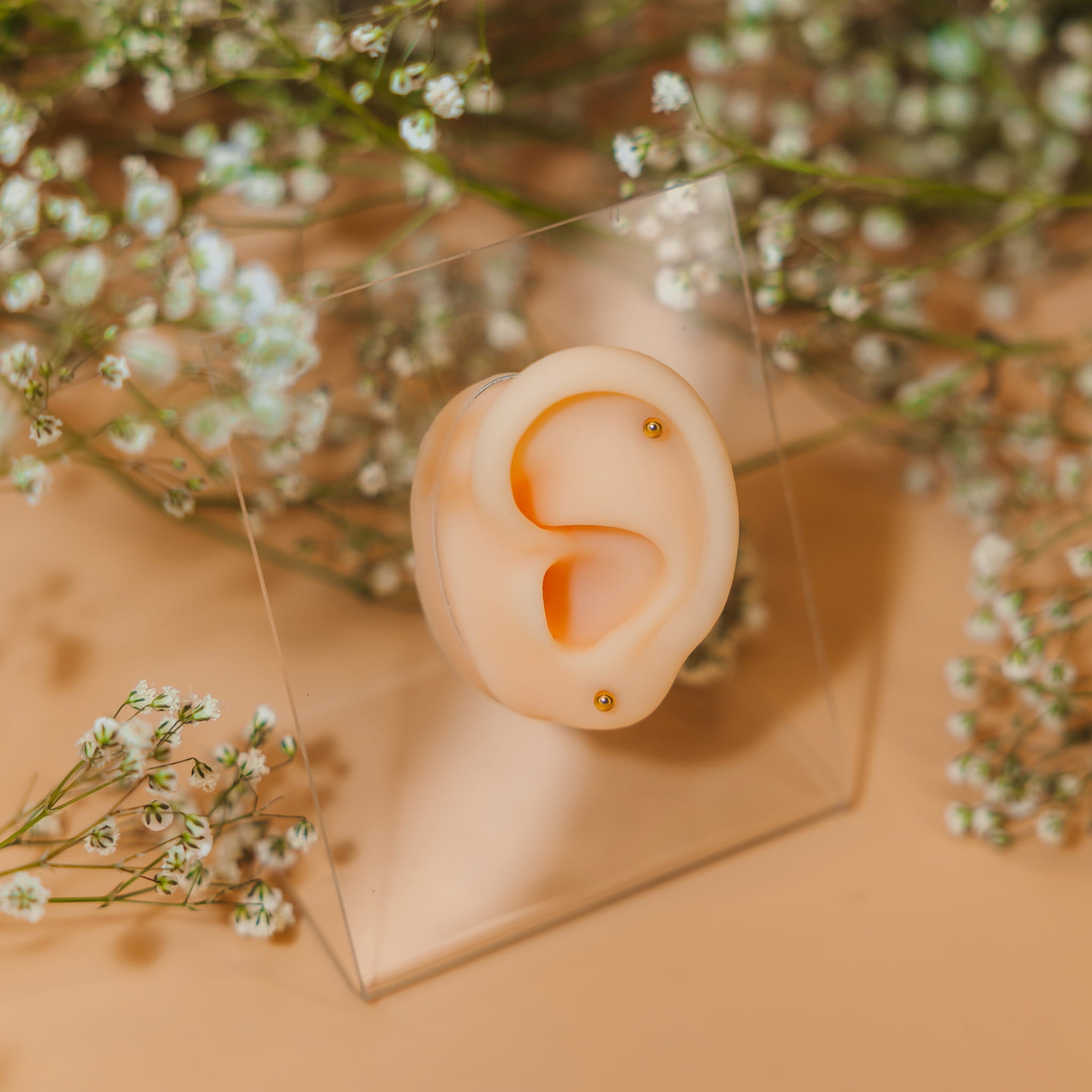 Labret mit Kugel - 316L Chirurgenstahl.