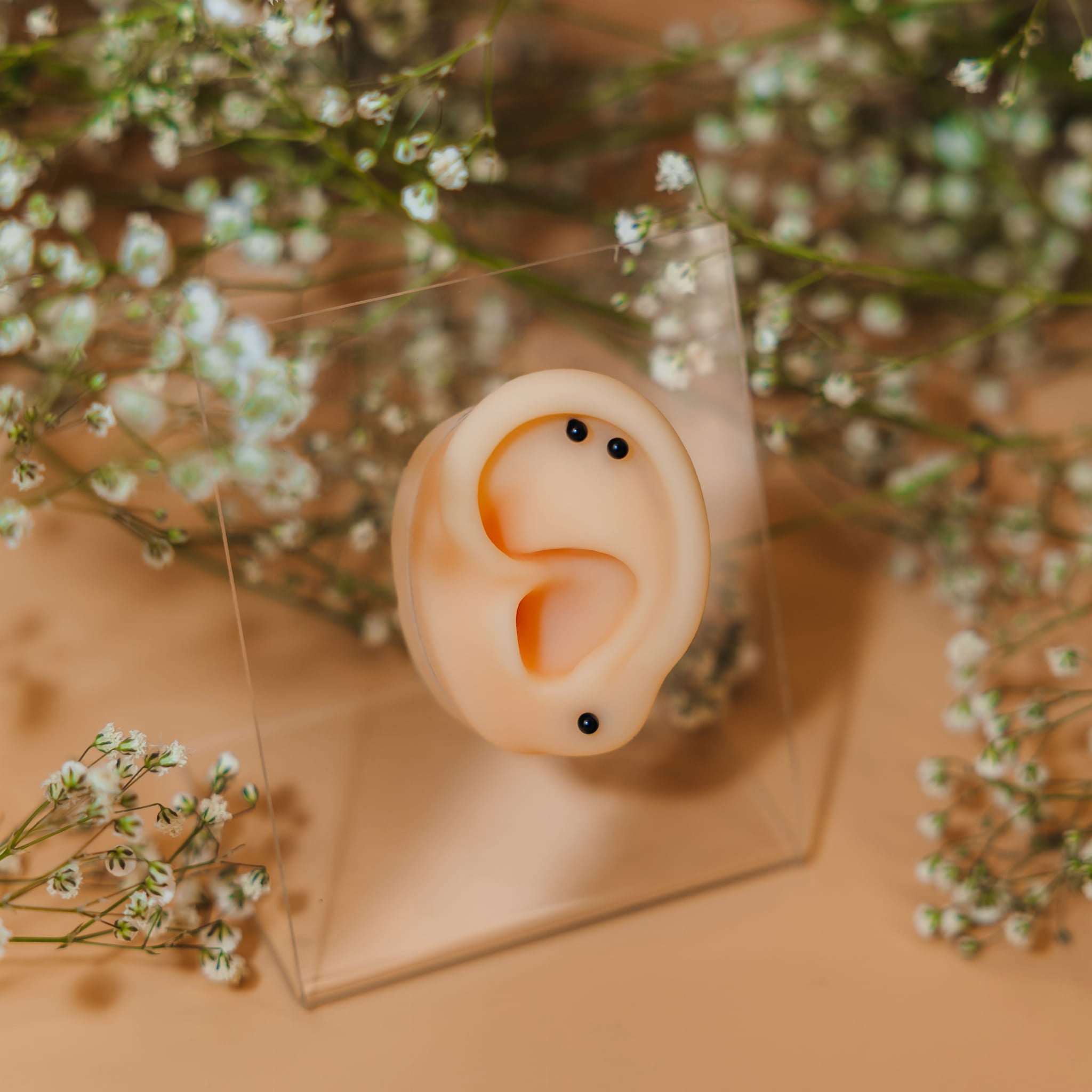 Labret mit Kugel - 316L Chirurgenstahl.