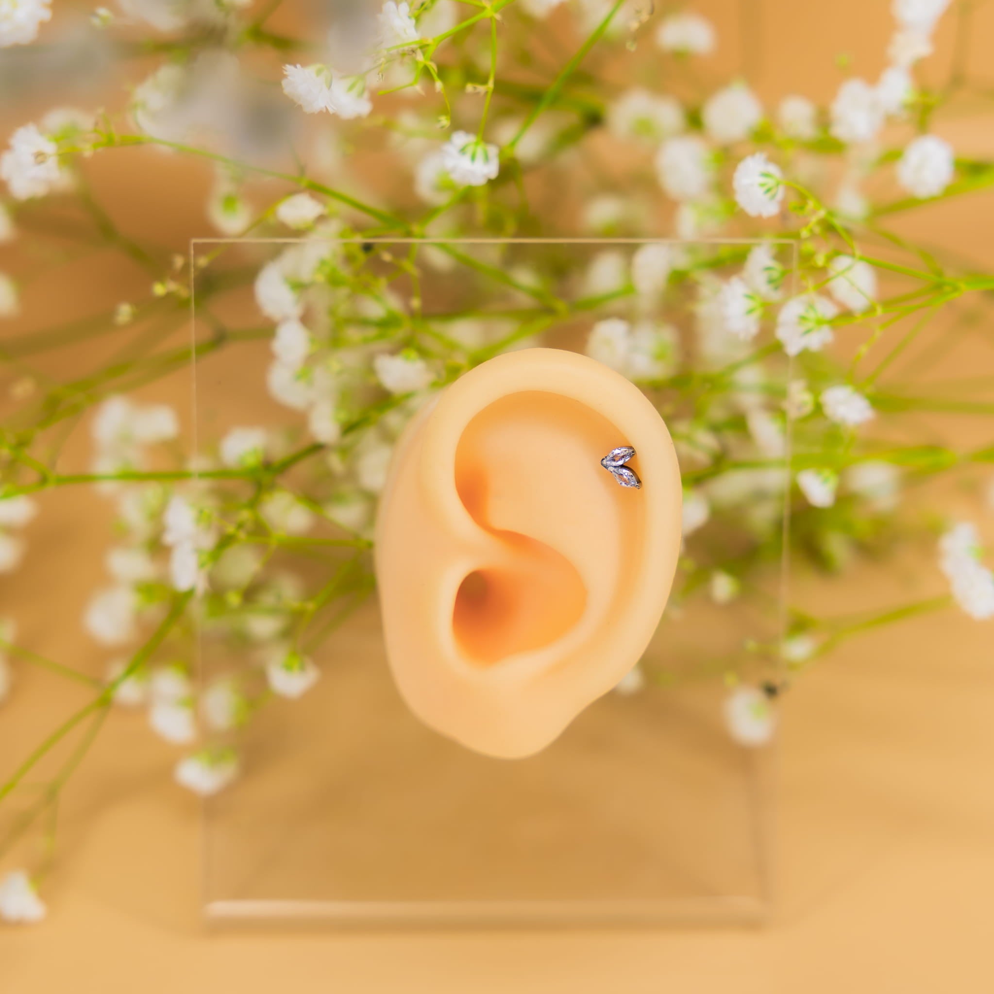 Labret aus Titan mit zwei Zirkonen